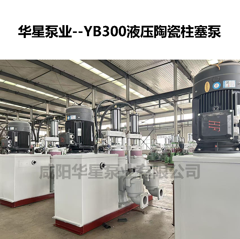 YB300液压陶瓷柱塞泵-16