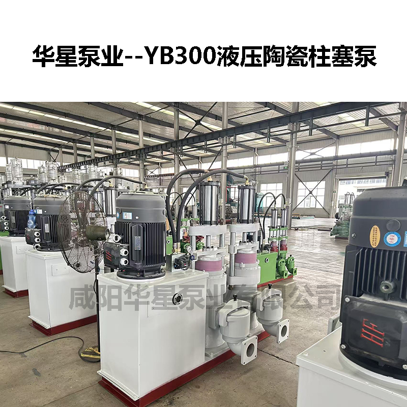 YB300液压陶瓷柱塞泵-13