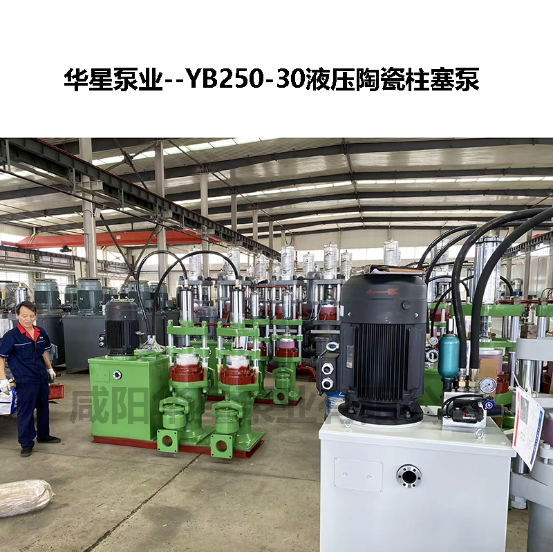 YB250-30液压陶瓷柱塞泵-03 YB250-30液压陶瓷柱塞泵-03