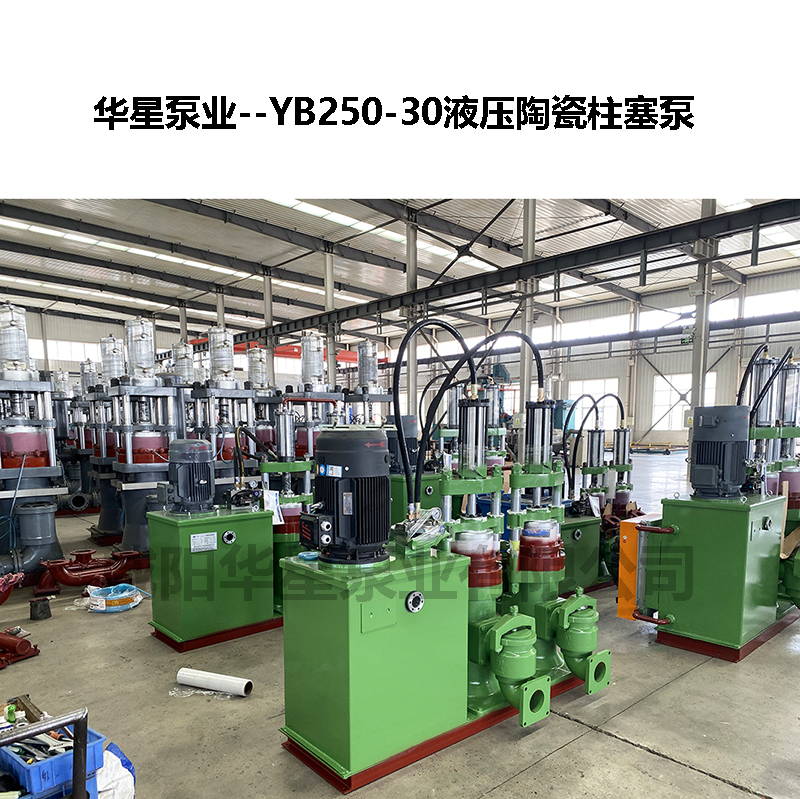 YB250-30液压陶瓷柱塞泵-02 YB250-30液压陶瓷柱塞泵-02