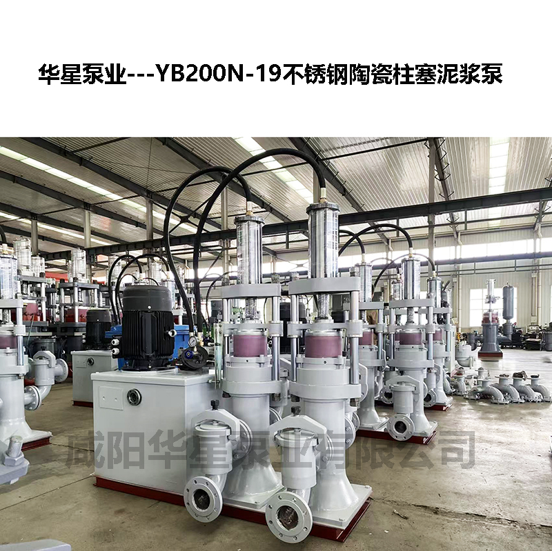 YB200N-19不锈钢陶瓷柱塞泥浆泵-36 YB200N-19不锈钢陶瓷柱塞泥浆泵-36