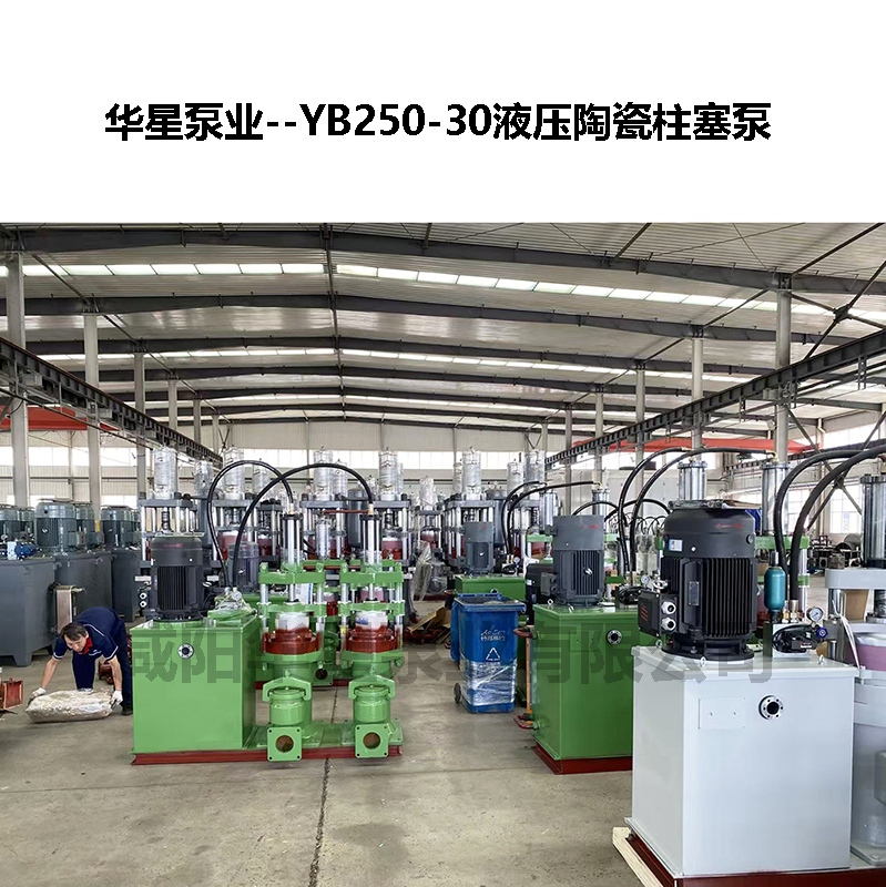 YB250-30液压陶瓷柱塞泵-04 YB250-30液压陶瓷柱塞泵-04