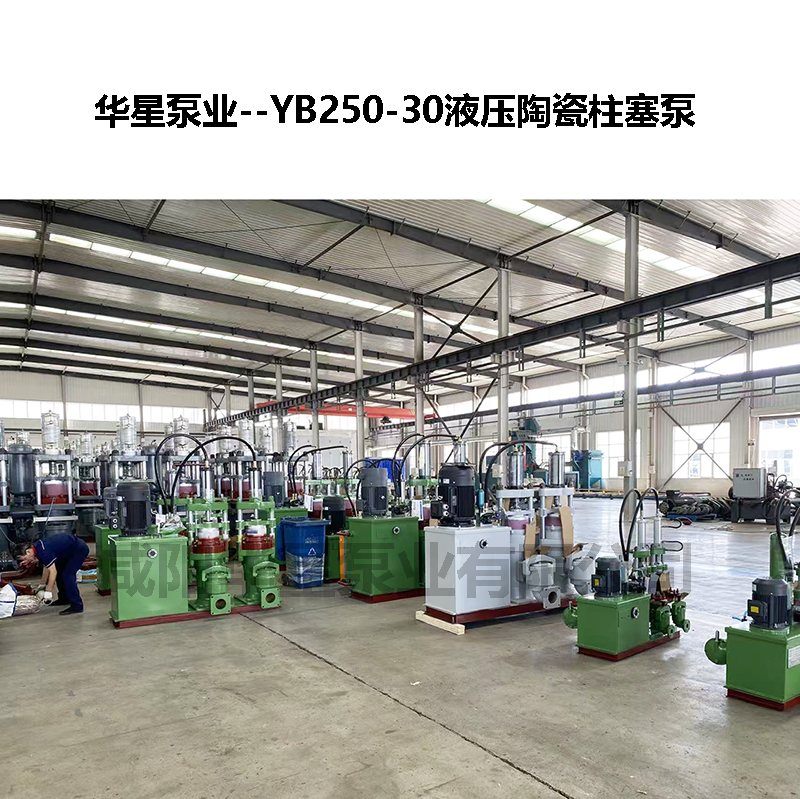YB250-30液压陶瓷柱塞泵-05 YB250-30液压陶瓷柱塞泵-05