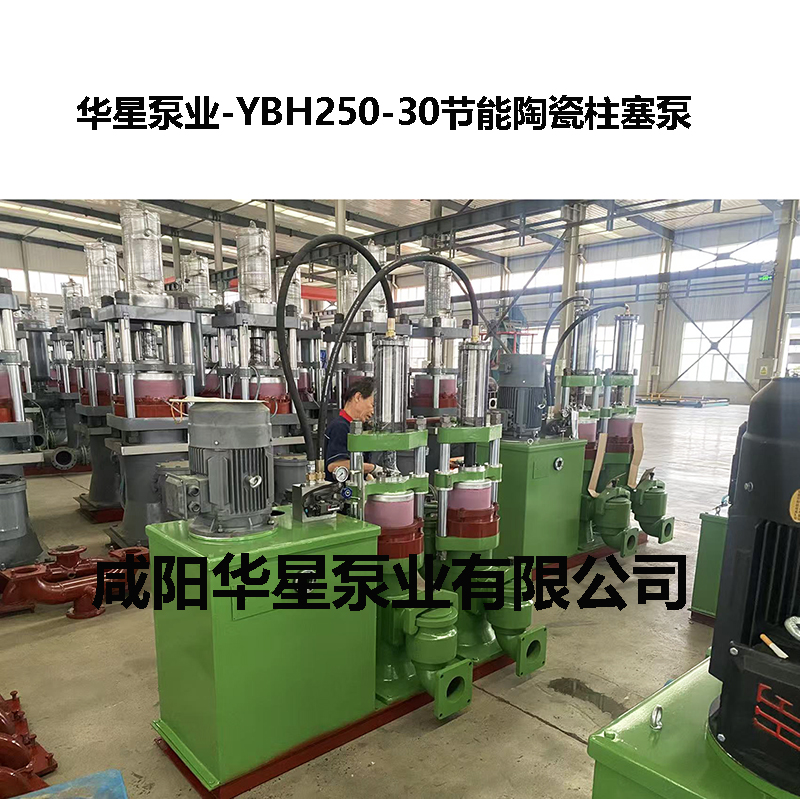 YBH250-30节能陶瓷柱塞泵-07 YBH250-30节能陶瓷柱塞泵-07