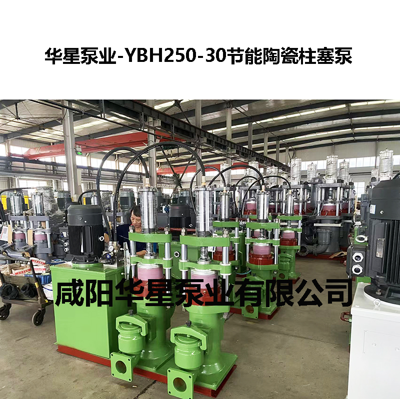 YBH250-30节能陶瓷柱塞泵-08 YBH250-30节能陶瓷柱塞泵-08