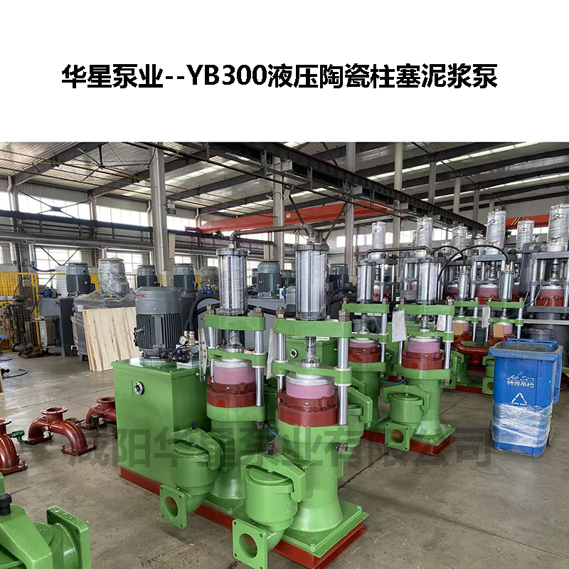 YB300Filter press feeding matching pump YB300Filter press feeding matching pump